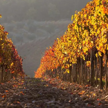 Cerretino By Interhome Castellina in Chianti